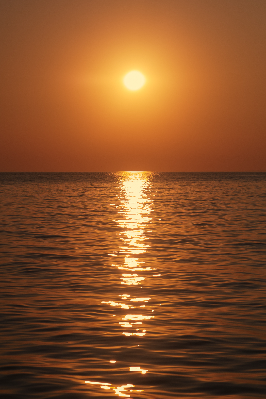 bachelor_sailamn-236